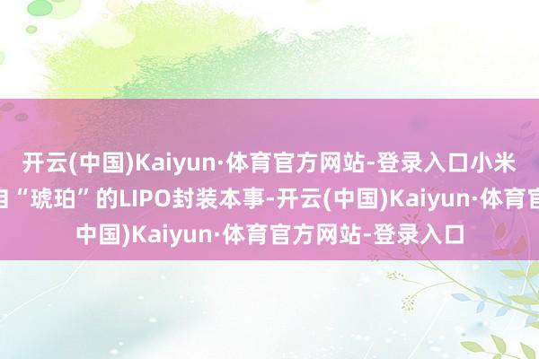 开云(中国)Kaiyun·体育官方网站-登录入口小米15还选拔灵感来自“琥珀”的LIPO封装本事-开云(中国)Kaiyun·体育官方网站-登录入口