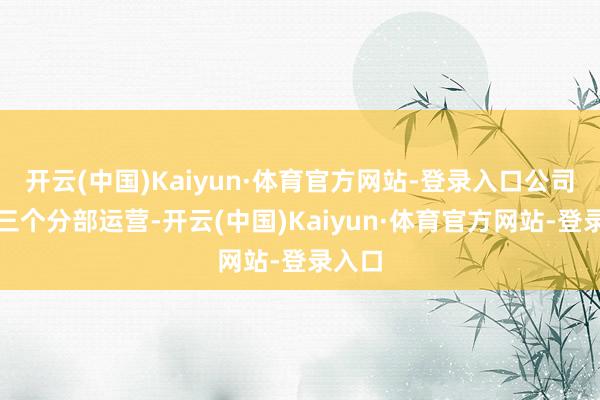 开云(中国)Kaiyun·体育官方网站-登录入口公司通过三个分部运营-开云(中国)Kaiyun·体育官方网站-登录入口